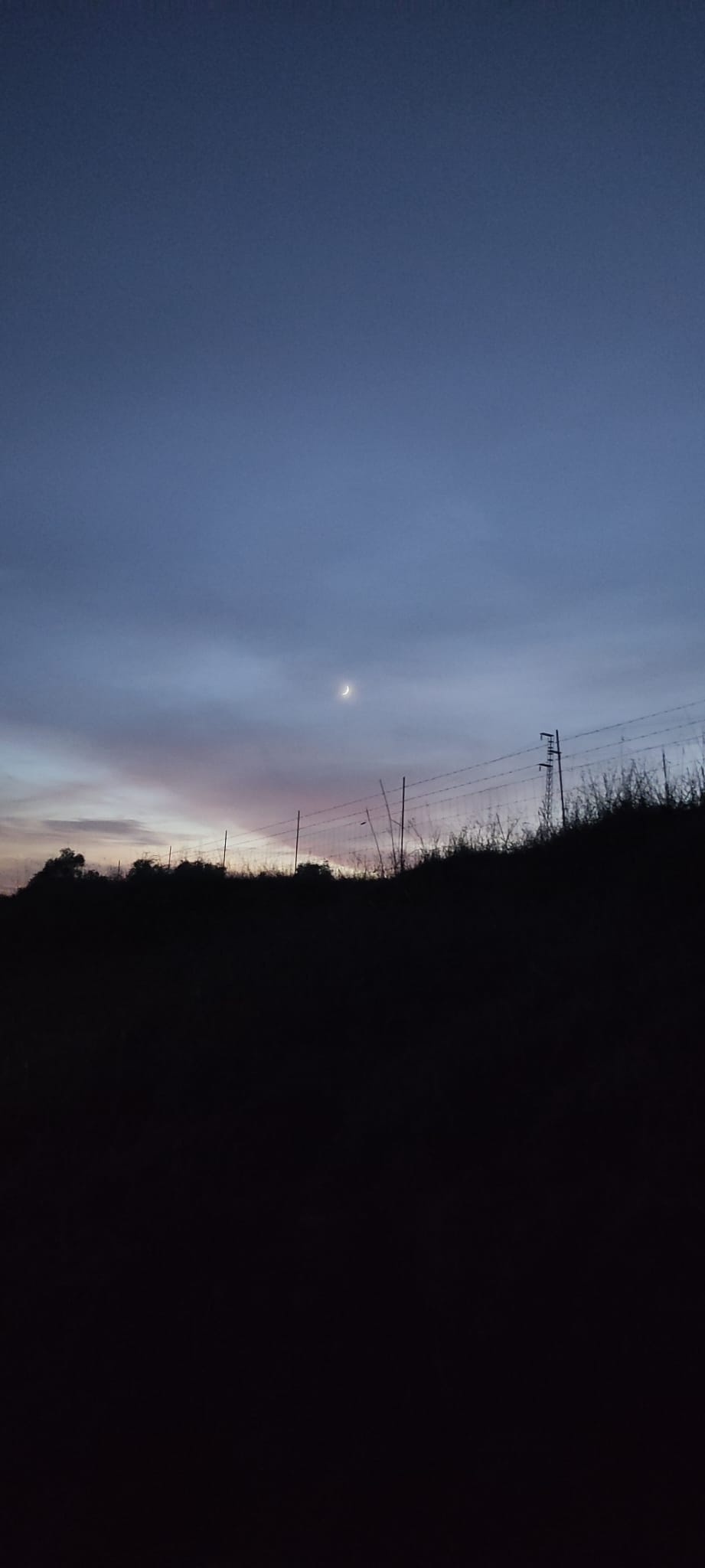 Fondo de la página de inicio